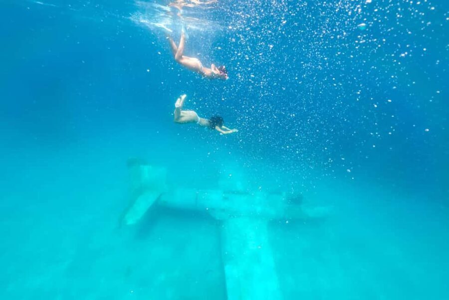 From Split: Private Underwater Museum & Blue Lagoon Tour - The Practicalities and What You Need to Know