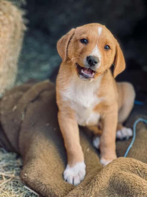 From Split: Sinj's Alka, Eye of the Earth, & Rural Day Trip - The Source of the Cetina River