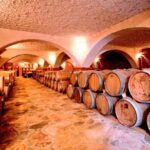 From Split & Trogir: Peljeac Peninsula Food & Wine Tour - What to Expect and Practical Tips