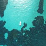 From Stintino: Half-day dinghy tour in Asinara Gulf - The Itinerary: What You Can Expect