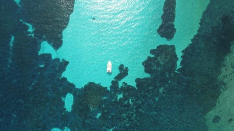 From Stintino: Half-day dinghy tour in Asinara Gulf - The Itinerary: What You Can Expect