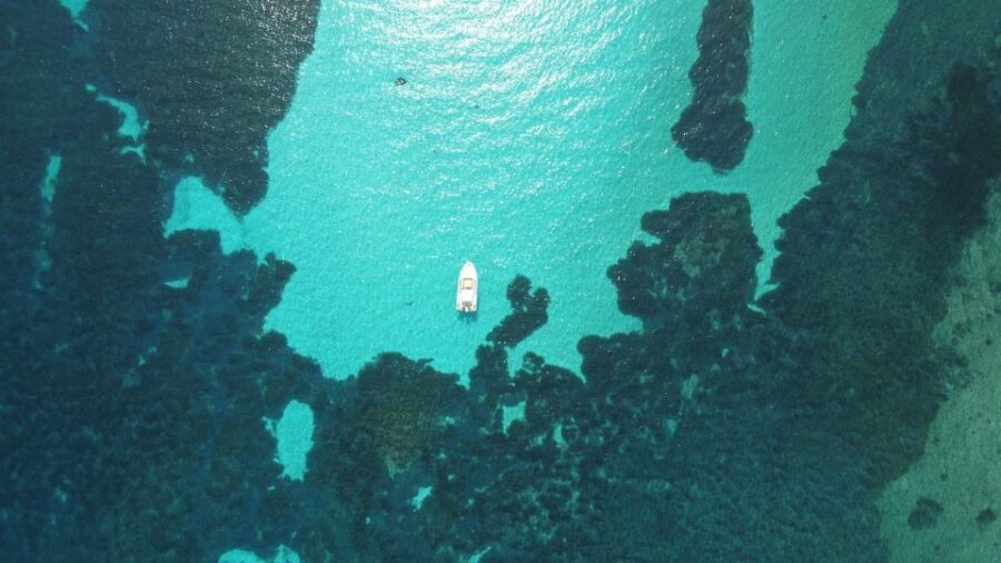 From Stintino: Half-day dinghy tour in Asinara Gulf - The Itinerary: What You Can Expect