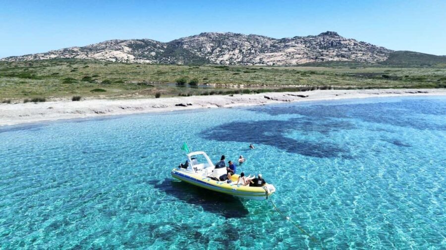 From Stintino: half-day tour by dinghy to Asinara with aperitif - What Travelers Are Saying