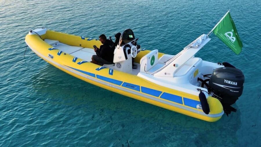 From Stintino: two-hour dinghy tour at sunrise or sunset - Why Choose This Tour?