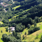 From Strasbourg: Black Forest and Baden Baden Day Trip - Who Is This Tour Best Suited For?