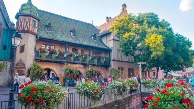 From Strasbourg: Colmar & Alsace Wine Route Private Day Trip - What Makes This Tour Stand Out