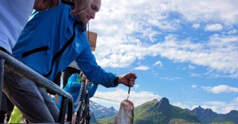 From Svolvaer: Lofoten Fishing Boat Cruise - Why This Tour Works Well for Travelers