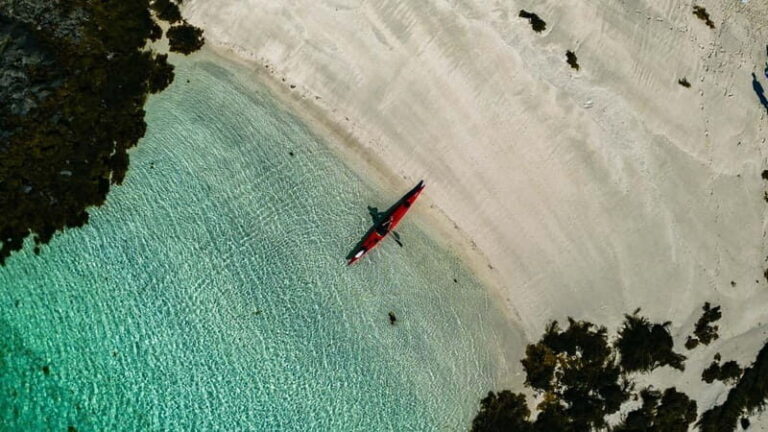 From Svolvær: Lofoten Guided Kayak Experience - Who Will Love This Tour?
