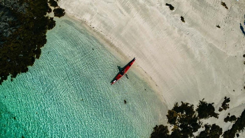 From Svolvær: Lofoten Guided Kayak Experience - Who Will Love This Tour?