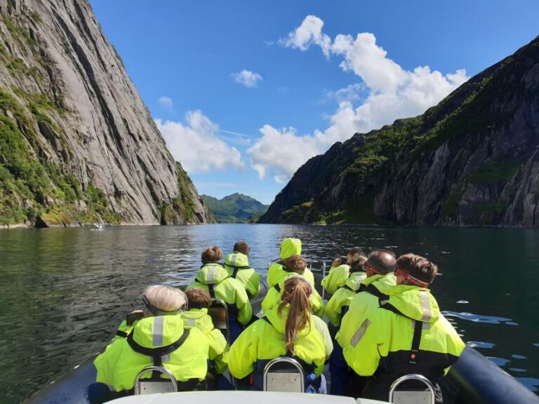 From Svolvaer: Trollfjorden Wildlife RIB Cruise - The Experience and Reviews: What Travelers Say