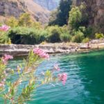 From Syracuse: Cavagrande Natural Reserve Guided Trek - Exploring Cavagrande: What the Tour Offers