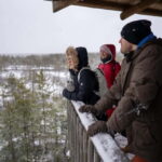 From Tallinn: Day Trip to Lahemaa National Park - The Value of the Experience