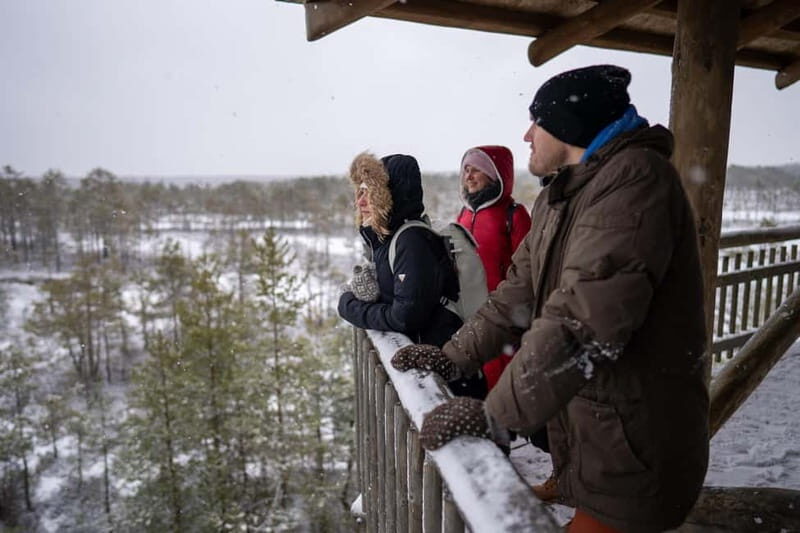 From Tallinn: Day Trip to Lahemaa National Park - The Value of the Experience