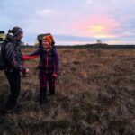 From Tallinn: Guided Bog-Shoe Hiking Tour - The Itinerary: What to Expect