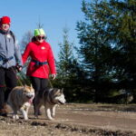From Tallinn: Husky Park Tour with Cani-Cross Hike - The Practicalities: What You Need to Know