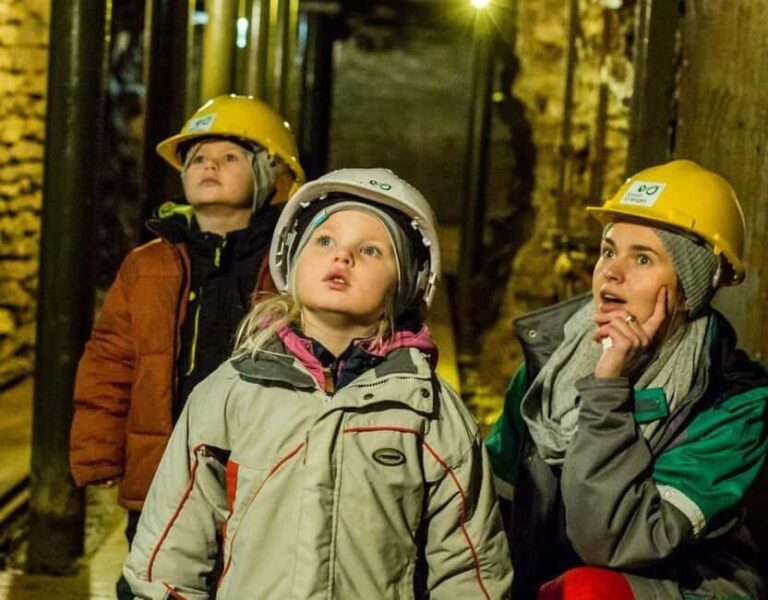 From Tallinn: Ida-Virumaa Mining Museum and Sillamäe Tour - Who is This Tour Best For?