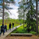 From Tallinn: Jägala Waterfall and Bog Walk Tour - Practical Details & Tips