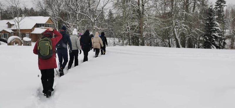 From Tallinn: Lahemaa National Park 3 Waterfall Hike - The Experience and What It Means for You