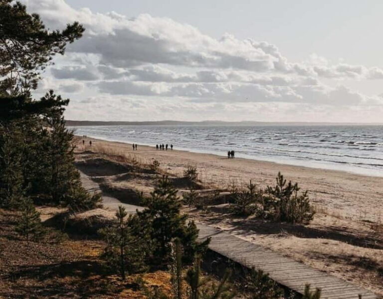 From Tallinn: Narva and Narva-Jõesuu Day Trip with Guide - Who Will Enjoy This Trip?