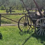 From Taormina: Castiglione di Sicilia & Wine Tasting - An In-Depth Look at the Experience