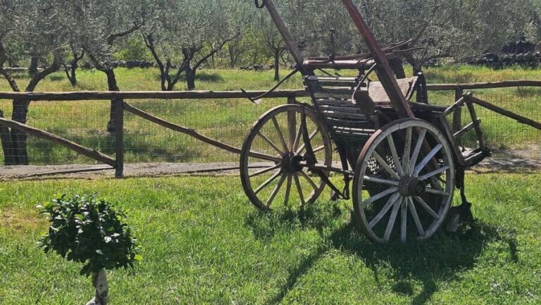 From Taormina: Castiglione di Sicilia & Wine Tasting - An In-Depth Look at the Experience