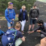 From Taormina: Half-Day Mount Etna Morning Trek - Transport, Group Size, and Price