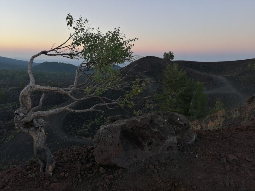 From Taormina: Mount Etna Half-Day Evening Hike - Why We Think This Tour Works