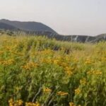 From Taormina, Naxos, & Letojanni: Mount Etna Half-Day Trip - Who Is This Tour Best Suited For?