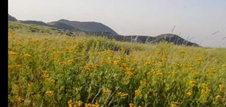 From Taormina, Naxos, & Letojanni: Mount Etna Half-Day Trip - Who Is This Tour Best Suited For?