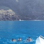 From Tazacorte: Discover the Northwest Coast by Speedy Yacht - Analyzing the Value