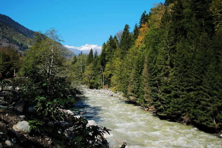 From Tbilisi: Ambrolauri Full-Day Guided Tour with Lunch - The Natural Beauty