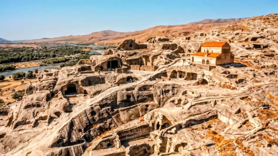 From Tbilisi: Bakuriani 1-Day Eco Tour by Electric Car - Price and Value