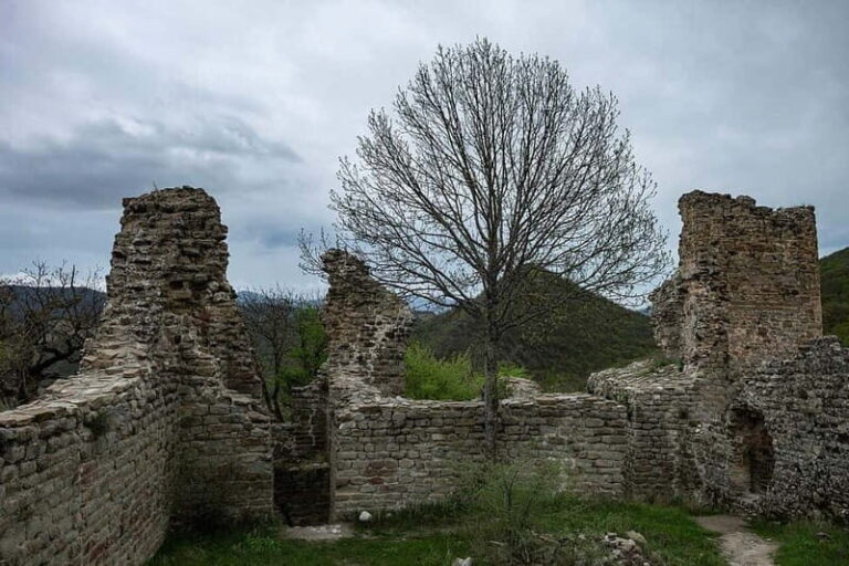 From Tbilisi: Bodbe, Sighnaghi and Telavi Day Trip - Practical Details and Tips