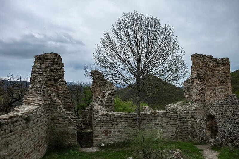 From Tbilisi: Bodbe, Sighnaghi and Telavi Day Trip - Practical Details and Tips