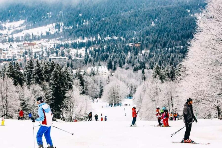 From Tbilisi: Borjomi and Bakuriani Ski resort Day Trip - Transportation and Group Size