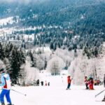 From Tbilisi: Borjomi and Bakuriani ski resort Tour - Is This Tour Right for You?
