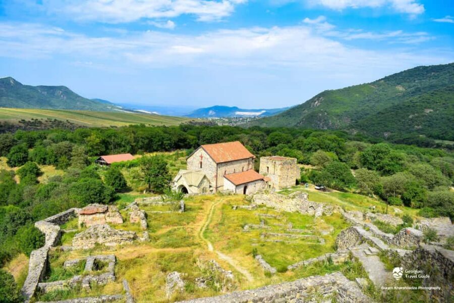 From Tbilisi: Dmanisi Archaeological Site Day Trip - What’s the Overall Value?