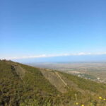 From Tbilisi: Kakheti Day Trip with Wine Tasting - How Well Does the Itinerary Work?