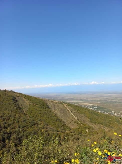 From Tbilisi: Kakheti Day Trip with Wine Tasting - How Well Does the Itinerary Work?