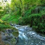 From Tbilisi: Private Ninoskhevi Waterfall Hike in Lagodekhi - The Gateway: Gurgeniani Information Center
