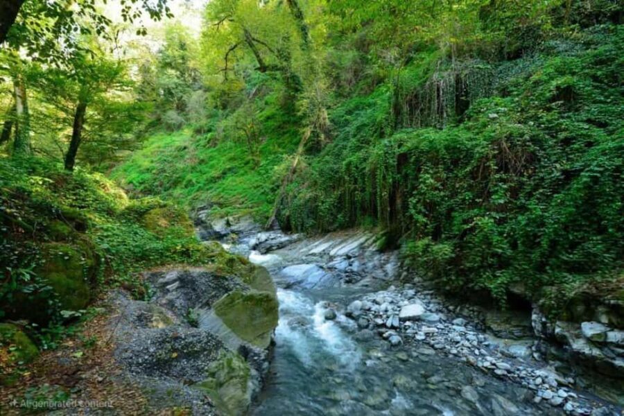 From Tbilisi: Private Ninoskhevi Waterfall Hike in Lagodekhi - The Gateway: Gurgeniani Information Center