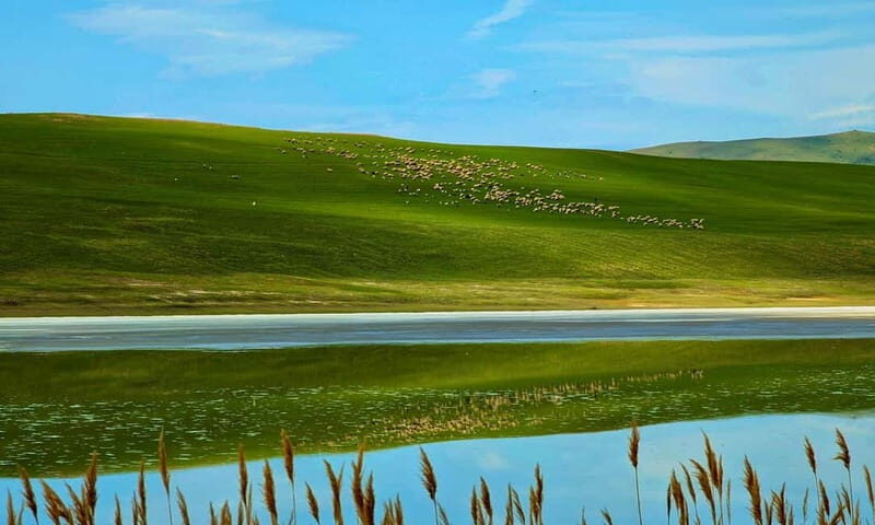 From Tbilisi: Rainbow Mountain & David Gareja Monastery Trip - Who Should Consider This Tour?