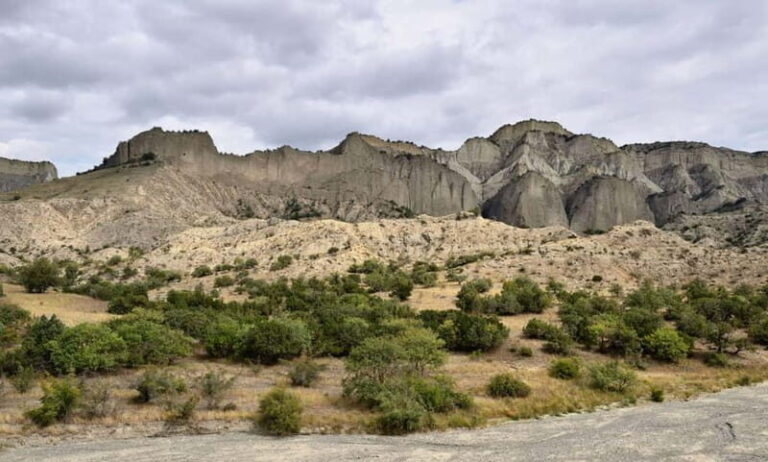 From Tbilisi: Vashlovani National Park Day Trip - Practical Tips for the Day