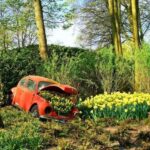 From The Hague: Private Sightseeing tour to Keukenhof - The Journey from The Hague to Keukenhof