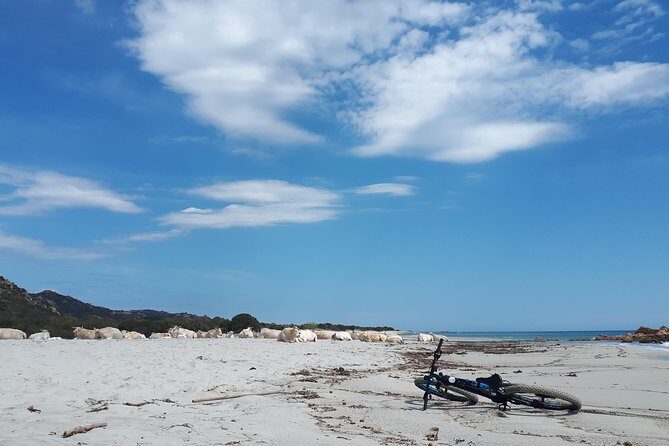 From the hills to Oasi Biderosa & Capo Comino with Electric Mountain Bikes - The Experience & the Reviews