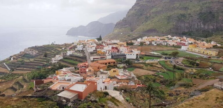 From the south of Tenerife: La Gomera full day trip - The Pros and Cons Based on Real-World Feedback
