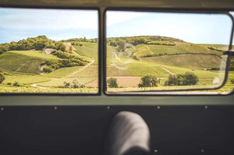 From the vines to the Champagne glass with a vintage car - Who Is This Tour Best For?