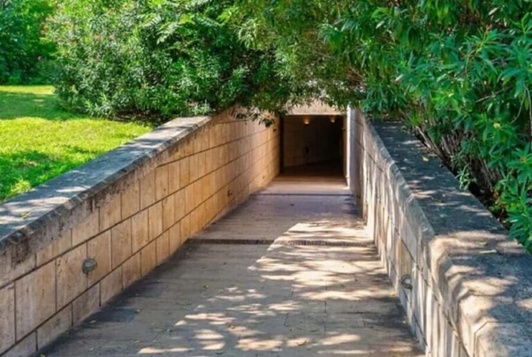 From Thessaloniki: Private Tour to Vergina Royal Tombs - Who Will Love This Tour?