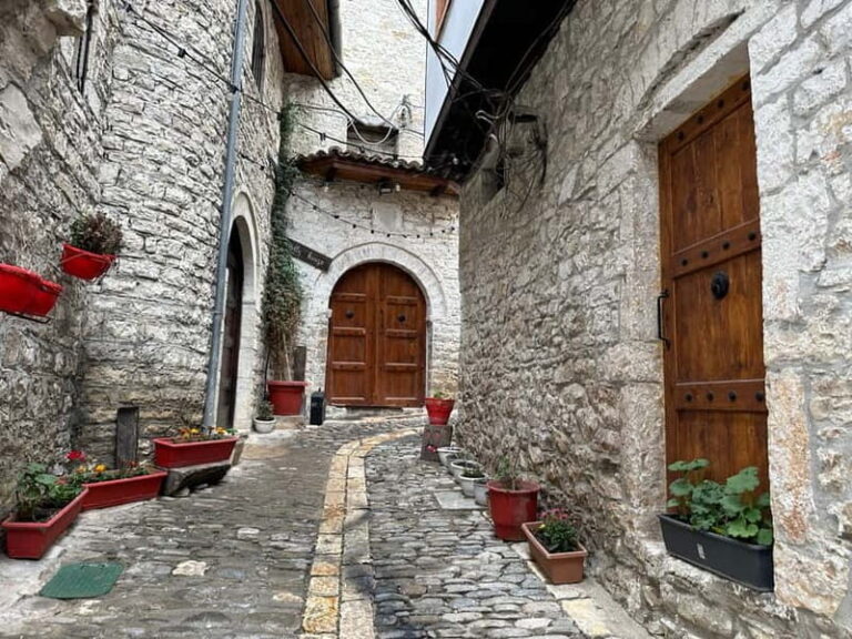 From Tirana: Berat UNESCO Heritage & Belshi Lake Tour - Transportation, Duration, and Group Size