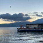 From Tirana: Day Trip to Korca, Pogradec and Ohrid Lake - Is This Tour Right for You?